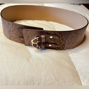 Anne Taylor Corset Belt:  Brown Textured Faux-Snake Belt with Gold Buckle